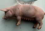 Schleich Varken uit 2003, Ophalen of Verzenden, Gebruikt
