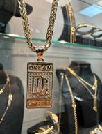 Gouden Vossenstaart Ketting met Dream Chaser, Ophalen of Verzenden, Zo goed als nieuw, Goud