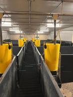 Kunststof hokinrichting vleesvarkensvleesvarkens