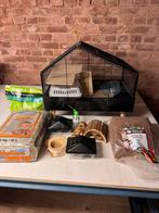 Hamster kooi met assortiment ( ex hamster), Minder dan 60 cm, Kooi, Minder dan 75 cm, Ophalen of Verzenden