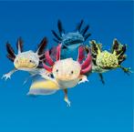 Axolotl dames gezocht, Dieren en Toebehoren, Vis