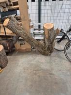 Kunst werk van een boom, Tuin en Terras, Palen, Balken en Planken, Ophalen, Zo goed als nieuw, 250 cm of meer, Palen