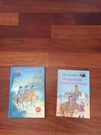 De Roskam van  Vivian den Hollander  , Ophalen of Verzenden, Zo goed als nieuw, Fictie algemeen