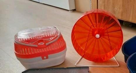 Loopwiel en vervoerbox - hamster, tamme ratjes, muis, Dieren en Toebehoren, Knaagdieren en Konijnen | Toebehoren, Zo goed als nieuw