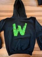 Minecraft hoodie Dodo/ Wouter van der Vaart, Kinderen en Baby's, Kinderkleding | Maat 146, Trui of Vest, Jongen of Meisje, Ophalen of Verzenden