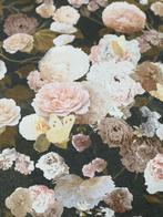 Bloemen Vlies Behang Nieuw 5 rollen, Huis en Inrichting, Stoffering | Behang, Ophalen, Minder dan 10 m², Roze