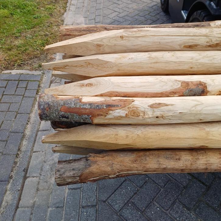 Kastanje palen 3 meter lengte/dikte 8 -10 cm!!, Tuin en Terras, Palen, Balken en Planken, Nieuw, Palen, 250 cm of meer, Ophalen