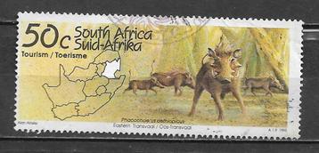 Zuid Afrika 1995 Toerisme Oost Transvaal wrattenzwijn beschikbaar voor biedingen
