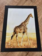 Giraffe Daimond Painting 30x40, Minder dan 50 cm, Nieuw, Schilderij, Ophalen of Verzenden
