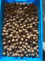 Walnoten 2024 16 kilo gelijk eten 😋, Ophalen