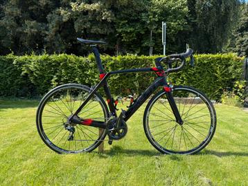 Racefiets Sensa Giulia Evo carbon beschikbaar voor biedingen
