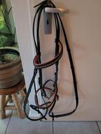 Hoofdstel, Dieren en Toebehoren, Paarden en Pony's | Hoofdstellen en Tuigage, Ophalen, Gebruikt, Dressuur