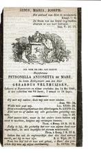 Ravenstein  Petronella Antonetta De Mare, Verzenden, Bidprentje