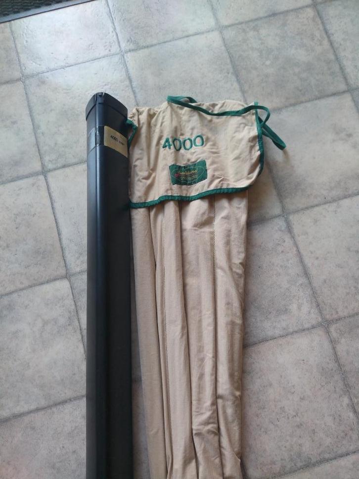 Tri-Cast 4000 Van T.Temming., Watersport en Boten, Hengelsport | Witvissen, Zo goed als nieuw, Molen, Ophalen