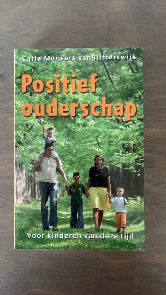 C. Muijsert-van Blitterswijk - Positief ouderschap, Achtergrond en Informatie, Ophalen of Verzenden, Zo goed als nieuw, C. Muijsert-van Blitterswijk