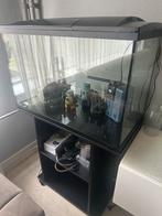 Aquarium 150lt, Dieren en Toebehoren, Ophalen of Verzenden, Leeg aquarium