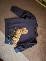 Stoere trui maat 128 met dino print, Ophalen of Verzenden, Zo goed als nieuw, Jongen