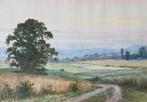 Willem Jacobus Alberts (1912-1990) - 2 ingelijste aquarellen, Antiek en Kunst, Kunst | Schilderijen | Klassiek, Ophalen of Verzenden