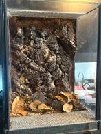 20x30x20 terrarium + kurkschors achterwand  - insect/spin