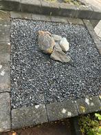 Ardenner split (grind), Tuin en Terras, Ophalen, Gebruikt, Antraciet, Split