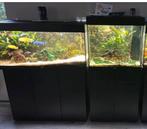1 JEWEL Rio aquariums 1 x Jewel LiDO incl vissen, Dieren en Toebehoren, Ophalen of Verzenden, Zo goed als nieuw, Gevuld zoetwateraquarium