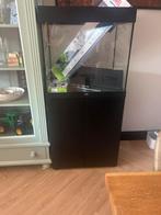 Lido 120 met verlichting, Ophalen, Gebruikt, Leeg aquarium