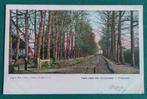 ansichtkaart Laan naar den  Kluizenaar, Vilsteren, Ophalen of Verzenden, Voor 1920, Gelopen, Overijssel