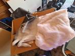 Masker schaap, Ophalen of Verzenden, Zo goed als nieuw