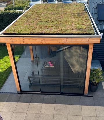 Sedum groen dak cassettes maak zelf uw bio dak beschikbaar voor biedingen