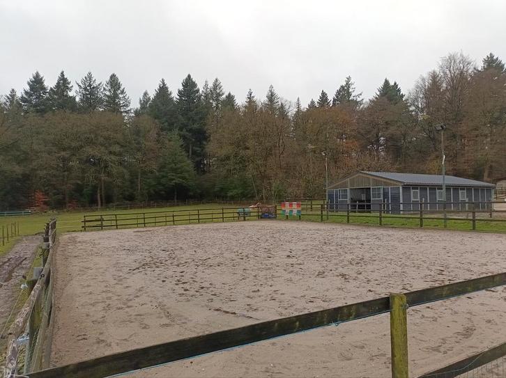 Stalling en weidegang vol pension, Dieren en Toebehoren, Stalling en Weidegang, Stalling