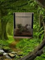 Terrarium + Haplopelma vonwirthi (V) Vogelspin, Dieren en Toebehoren, Ophalen of Verzenden, Zo goed als nieuw, Terrarium of Paludarium