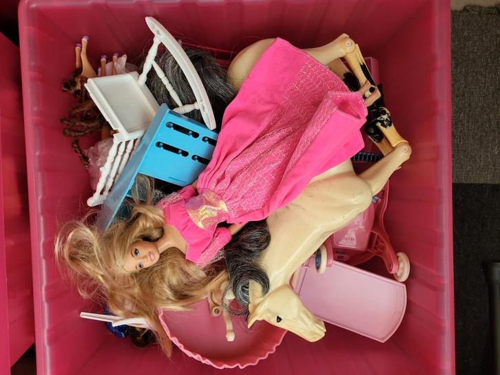 Grote partij Barbie spullen in opbergdozen, Kinderen en Baby's, Speelgoed | Poppen, Gebruikt, Barbie, Ophalen