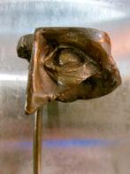 Bronzen sculptuur  afbeelding oog kunst, Ophalen of Verzenden