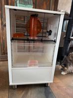 Hamsterkooi, Dieren en Toebehoren, Ophalen, Kooi, 60 tot 90 cm, Minder dan 75 cm