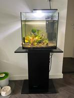 Aquarium 60L Qubic pro, Dieren en Toebehoren, Vissen | Aquaria en Toebehoren, Ophalen, Gebruikt, Gevuld zoetwateraquarium