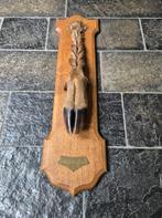 Prachtige gevlochten Edelhert poot jacht trofee mancave, Ophalen of Verzenden, Zo goed als nieuw, Hert, Opgezet dier