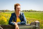 Levenscoach - Relatietherapie - Familieopstelling, Diensten en Vakmensen, Coaching en Persoonlijke effectiviteit, Relatietherapie