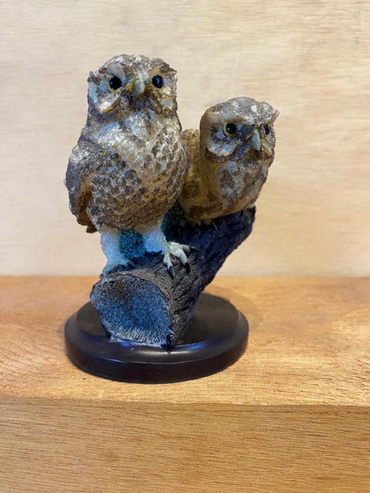 Steenuil vogelbeeldjes van het merk Bradford Exchange, Antiek en Kunst, Curiosa en Brocante, Ophalen of Verzenden