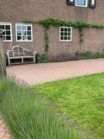 Beton klinkers, Tuin en Terras, Tegels en Klinkers, Ophalen of Verzenden, Beton, Klinkers