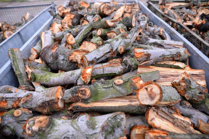 Appelhout Brandhout Kachelhout € 100,- m3, Tuin en Terras, Haardhout, Blokken, Overige houtsoorten, Minder dan 3 m³, Ophalen of Verzenden