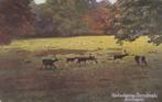 16619 Hertenkamp Sonsbeek Arnhem oude kaart 1931, Verzenden, 1920 tot 1940, Gelopen, Gelderland