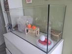 Aquarium/terrarium Hamster+spullen, Ophalen, 60 tot 90 cm, Zo goed als nieuw, Hok