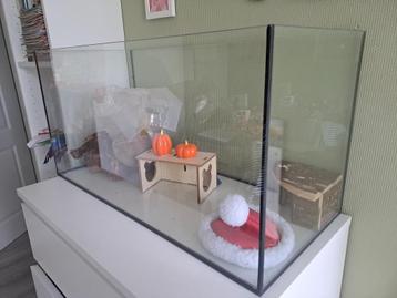 Aquarium/terrarium Hamster+spullen beschikbaar voor biedingen