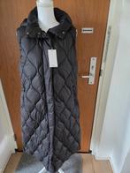 Mooie lange bodywarmer van Mango maat L, Kleding | Dames, Jassen | Winter, Ophalen of Verzenden, Nieuw, Maat 38/40 (M)