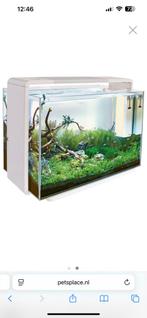 Superfish 110 helemaal compleet, Dieren en Toebehoren, Vissen | Aquaria en Toebehoren, Ophalen, Gebruikt, Gevuld zoetwateraquarium