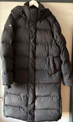 Superdry winterjas, zwart, nieuw, XXL, Zwart, Nieuw, Overige maten, Ophalen of Verzenden