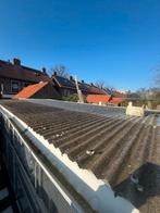 grote duiven hok met  plat dak en af neembaar platen, Dieren en Toebehoren, Vogels | Duiven, Meerdere dieren, Overige soorten