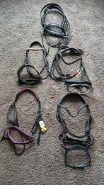 Hoofdstellen maat cob, Dieren en Toebehoren, Ophalen of Verzenden, Nieuw, Overige soorten