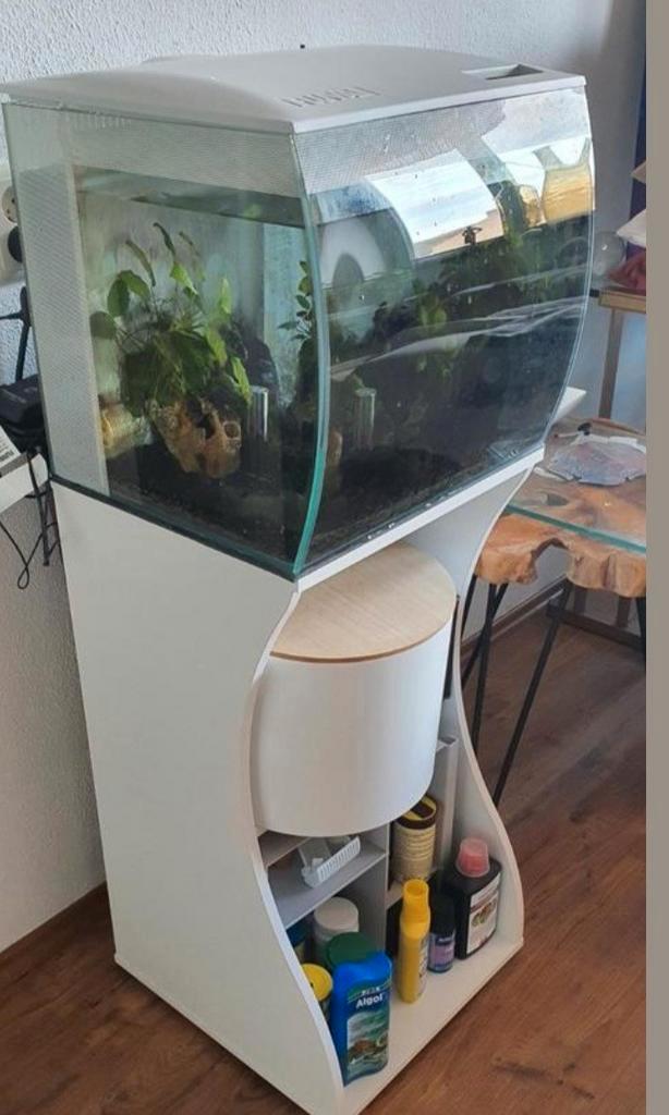 Design aquarium fluval flex 57 liter ter waarde van 415 euro, Dieren en Toebehoren, Vissen | Aquaria en Toebehoren, Zo goed als nieuw