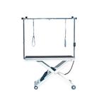 Trimtafel Show Trimtafels Honden Trim Tafel CASSIOPEE, Dieren en Toebehoren, Honden-accessoires, Ophalen of Verzenden, Nieuw